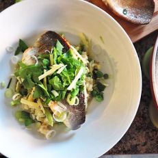 11821850_1477056375931294_1009103274_n